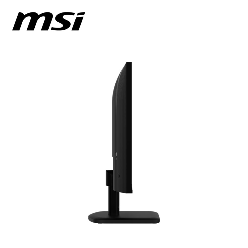 MSI PRO MP251 E2 24.5